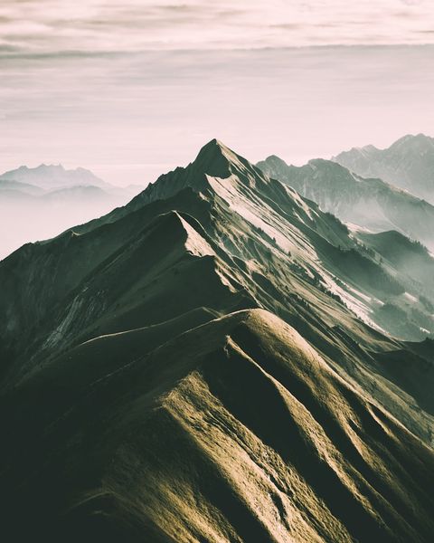 Sultán